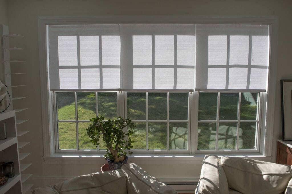 A sunlit living room with a large window partially covered by white blinds. Light streams in, casting shadows on the beige couches and a potted plant on the windowsill. Green grass is visible outside.