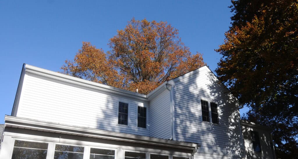 A white two-story house with several windows is shown under a clear blue sky. Autumn trees with orange leaves tower behind the house, and shadows from nearby trees fall across the building.