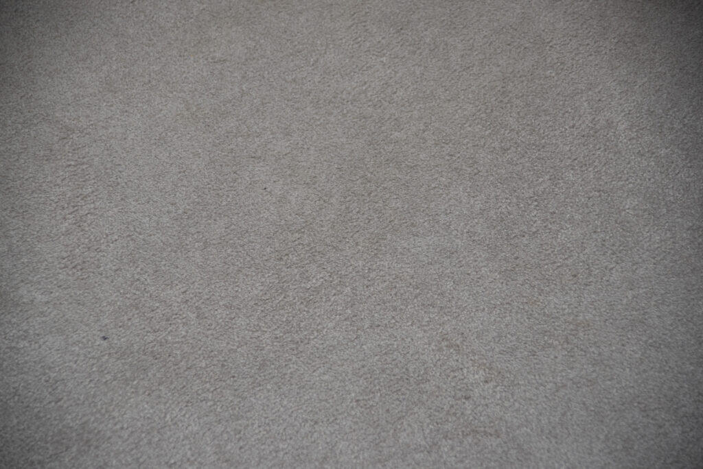 A close-up view of a light gray carpet with a soft, even texture and no visible patterns or objects.