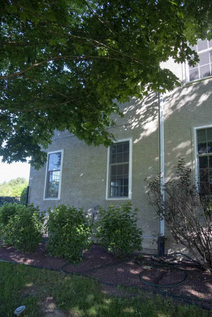 A side of a house with beige stucco walls, two tall windows, leafy green bushes, a garden bed with mulch, and a large tree providing shade in the foreground. A black garden hose lies on the ground.