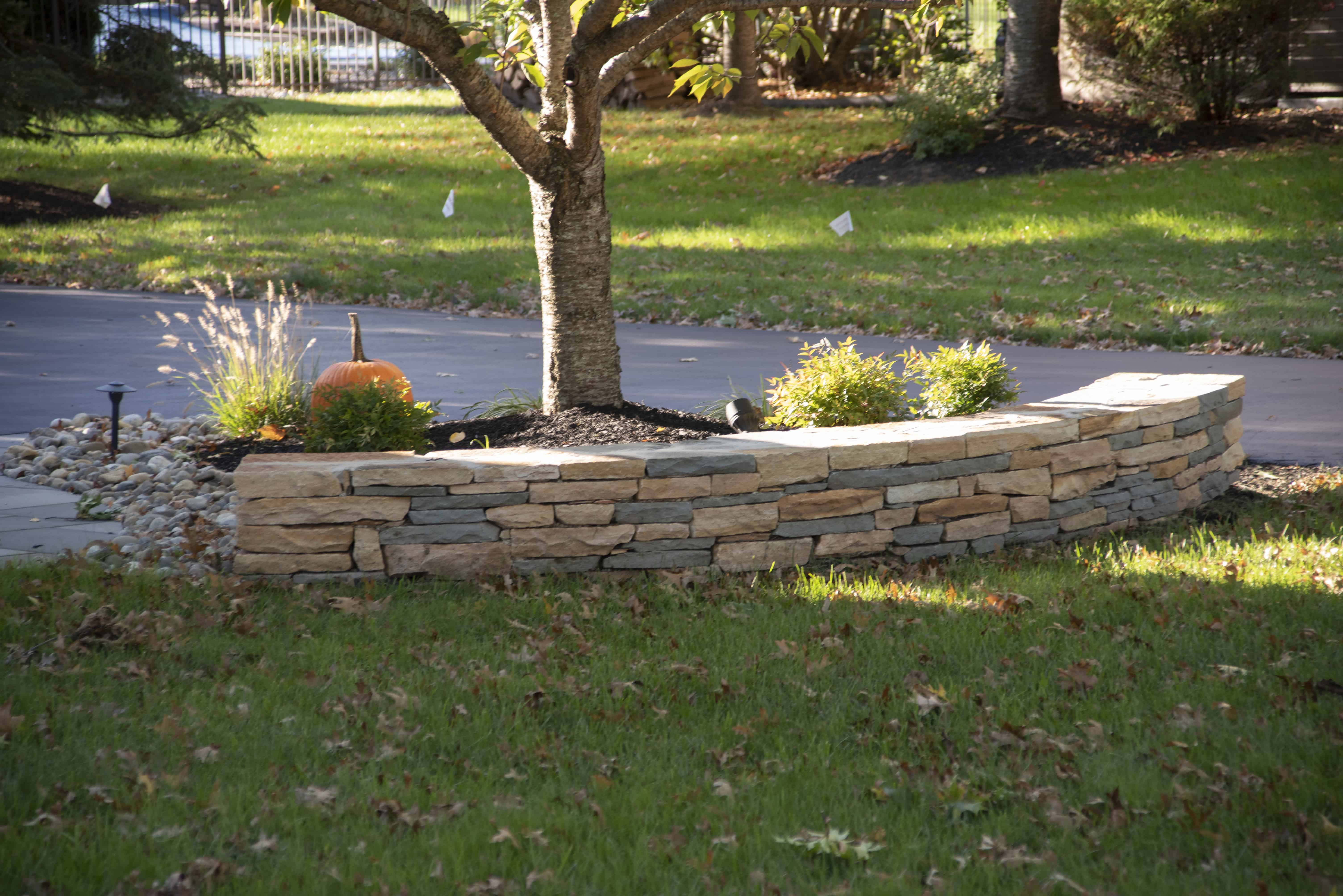 A curved stone retaining wall surrounds a tree and small shrubs in a landscaped yard, with a pumpkin placed near the wall. Fallen leaves are scattered across the grass and driveway in the background.