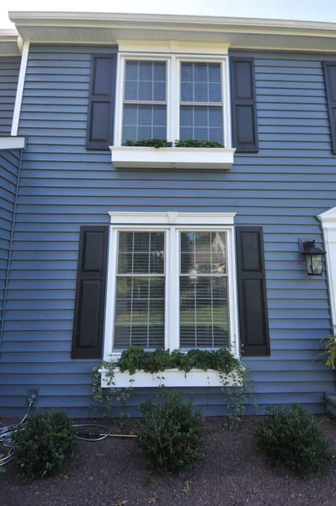 Two white-framed windows with black shutters on a blue house; both have window boxes with green plants growing, and there are small bushes below the lower window.