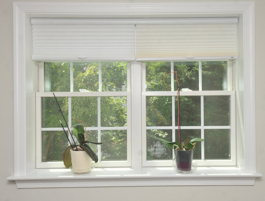 Two potted orchids sit on a white windowsill in front of a double window with white frames. Trees and greenery are visible outside, and the window shades are partially raised.