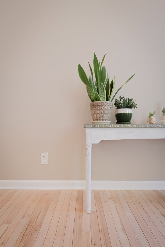a white wooden table against a beige wall holds two potted plants and small decorative items. the floor is light hardwood, and a power outlet is visible on the wall to the left of the table.
